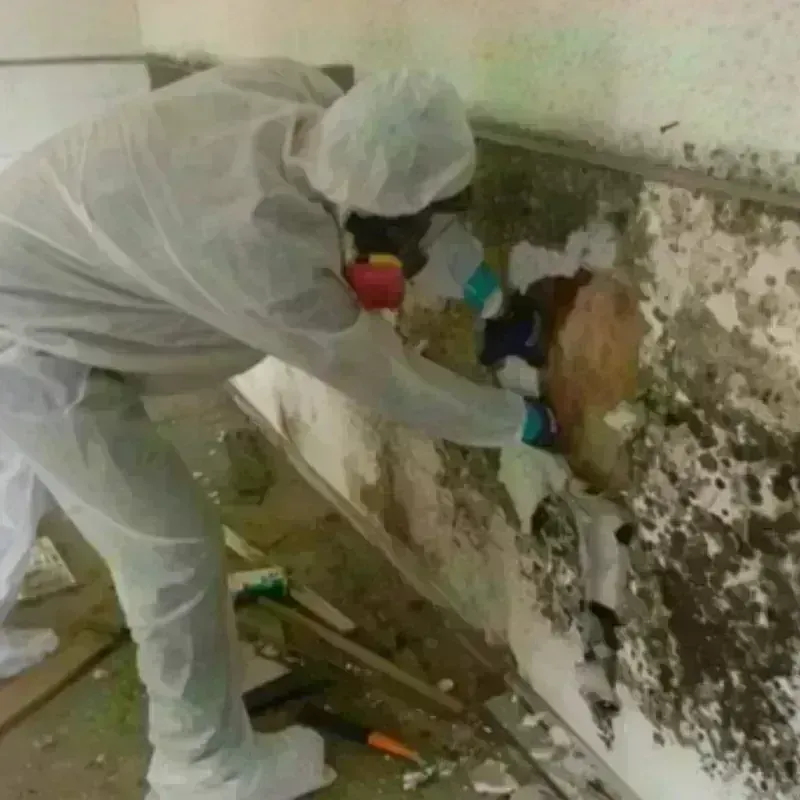 Mold Remediation and Removal in Fetters Hot Springs-Agua Caliente, CA