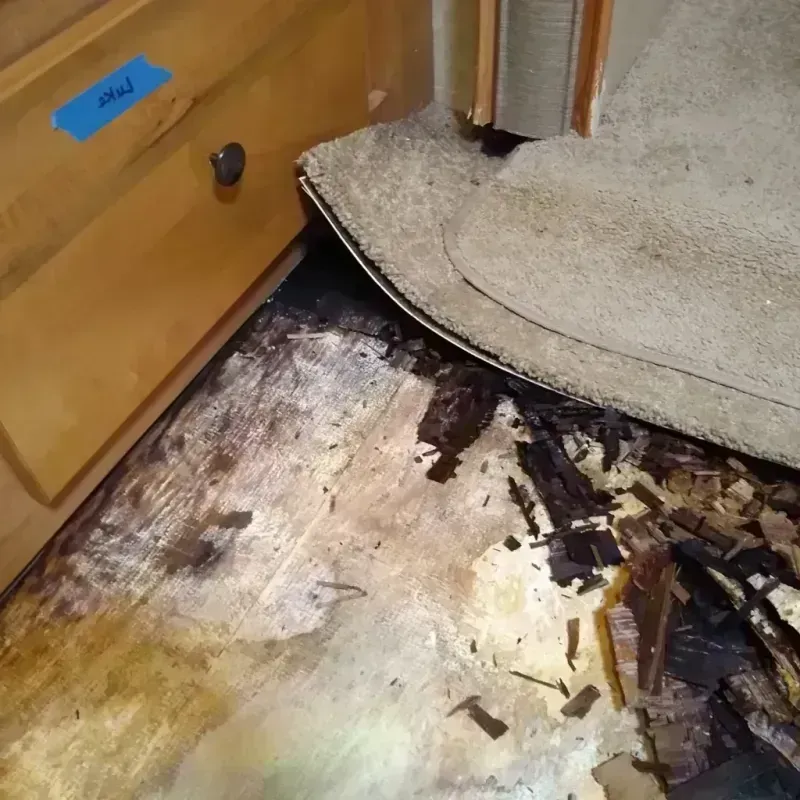 Wood Floor Water Damage in Fetters Hot Springs-Agua Caliente, CA